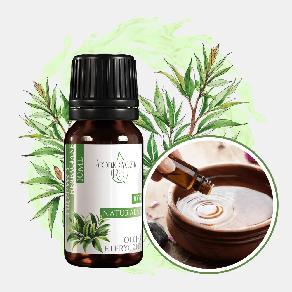 DRZEWO HERBACIANE WSTEP