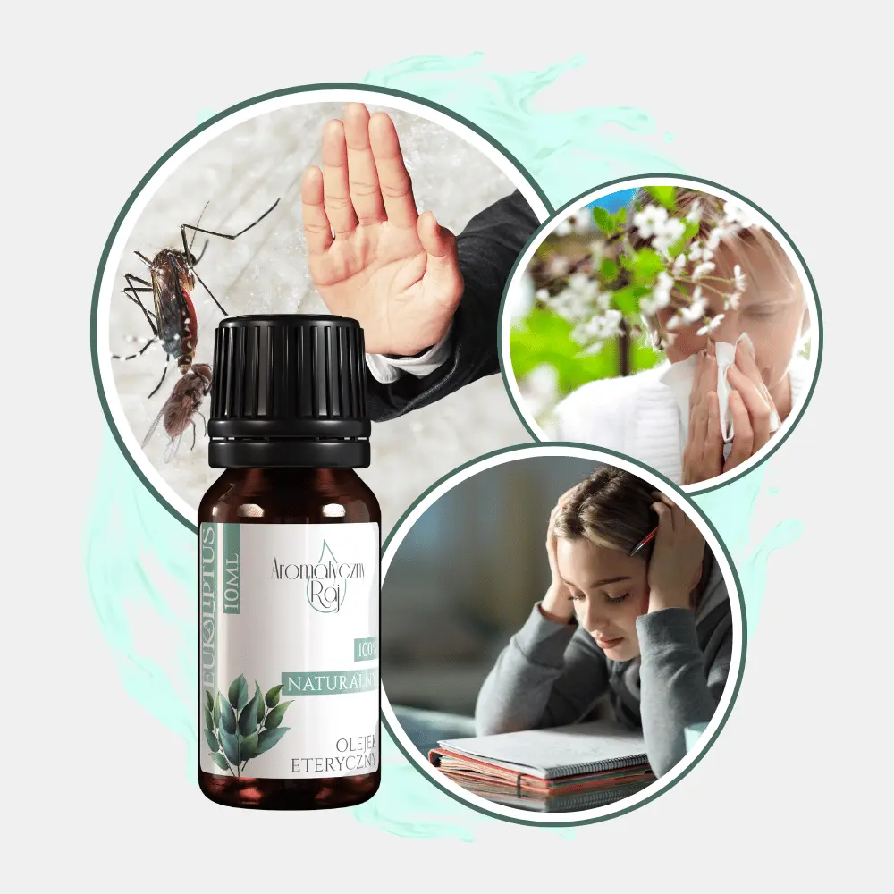 Olejek Eukaliptusowy - obrazek 3