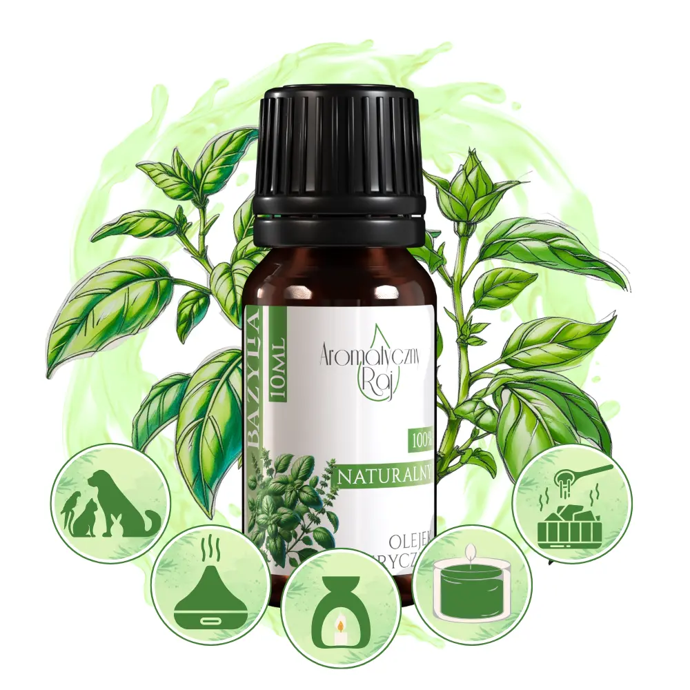 BAZYLIA ZASTOSOWANIE