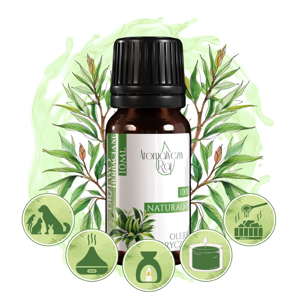 DRZEWO HERBACIANE ZASTOSOWANIE