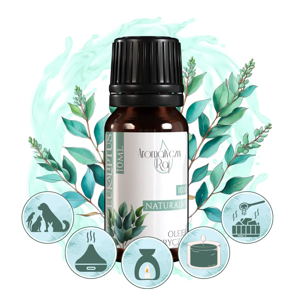 EUKALIPTUS ZASTOSOWANIE