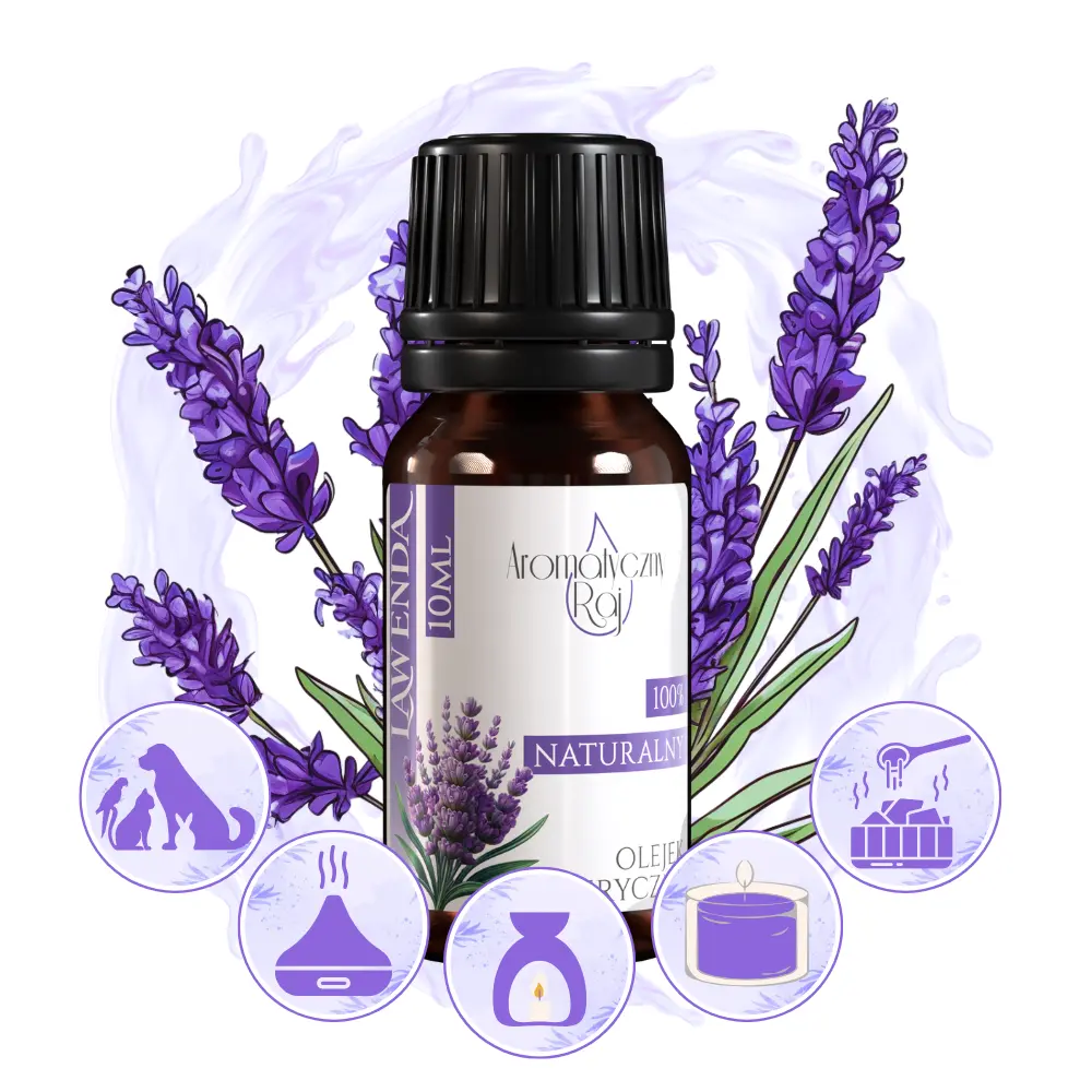 LAWENDA ZASTOSOWANIE