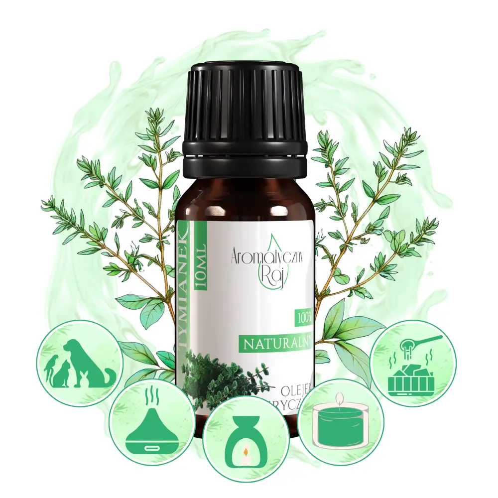 TYMIANEK ZASTOSOWANIE