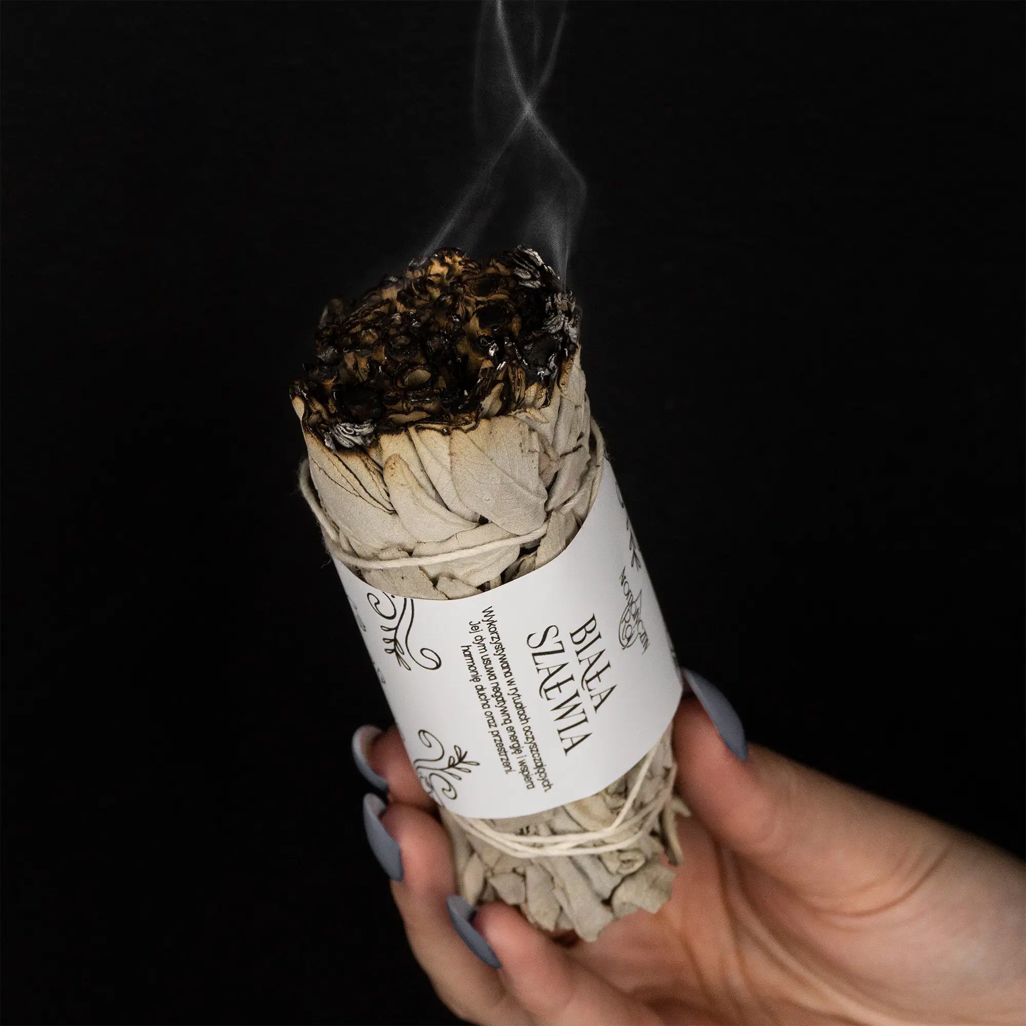 Szałwia Biała - obrazek 4